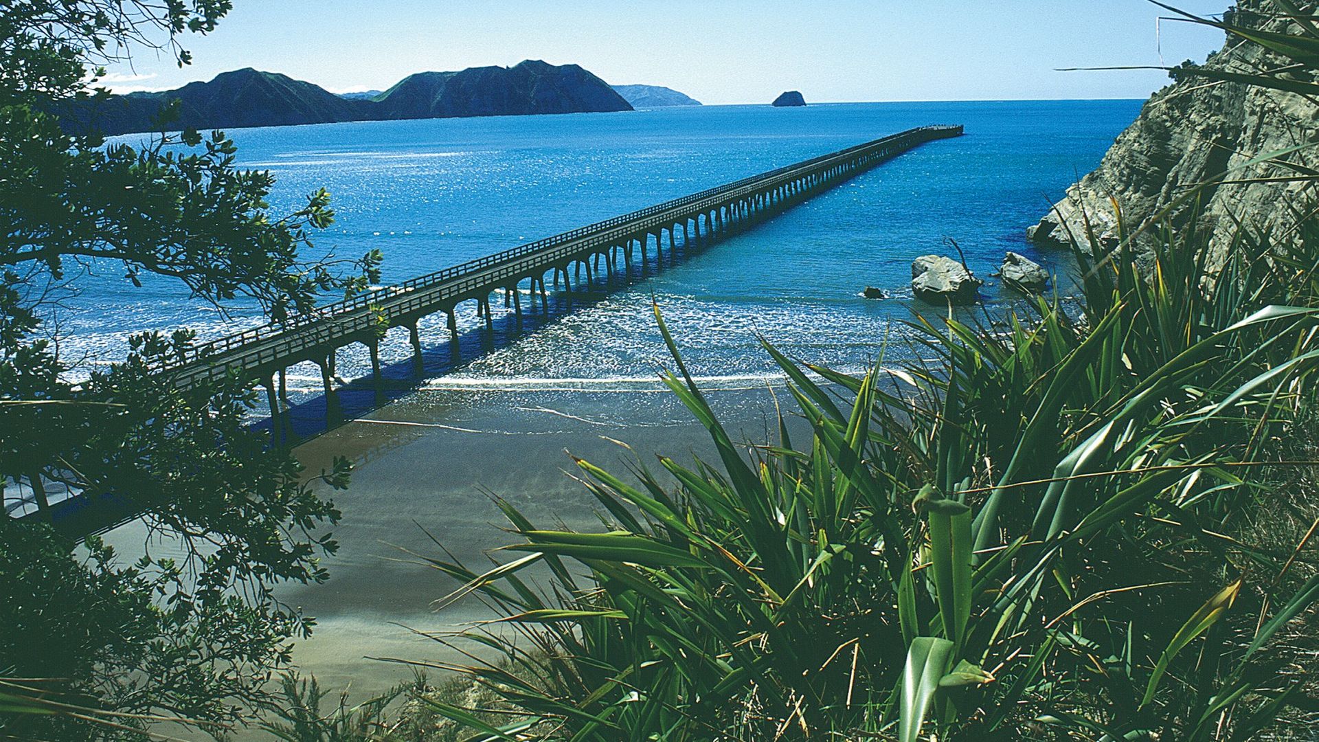 Tolaga Bay Wharf Tour with Lunch Experience Gisborne