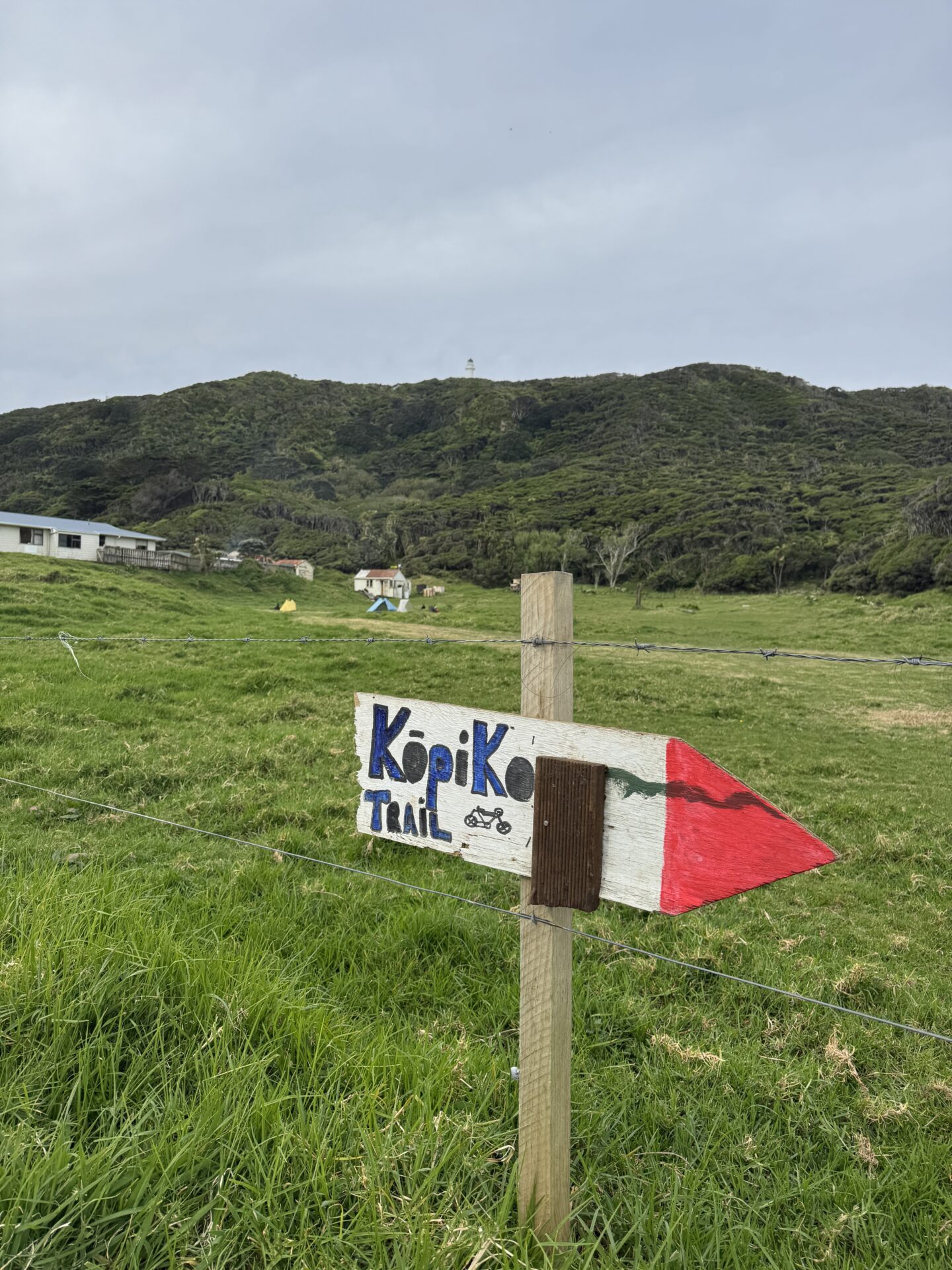 Kōpiko